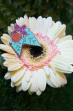 A close-up of a cream and pink gerbera daisy flower with green foliage in the background, featuring a colorful enamel pin shaped like a stylized leaf with a purple butterfly and berry design.